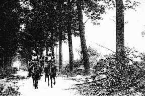 Reconnaissance de cuirassiers sur une route où les arbres ont été fauchés par le feu de notre artillerie