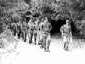 Patrick Le Lann à la tête de son peloton; marche à la fourragère, Col du Bonhomme (août 1977)